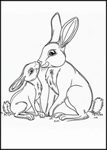 ノウサギ - 動物2