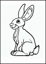Hares - Animals4