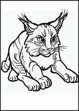 Lynxen - Dieren1