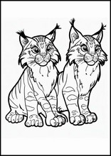 Lynxen - Dieren2