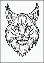 Linci - Animali3