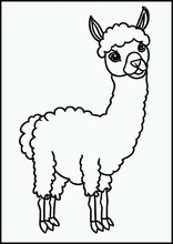Lamas - Tiere1