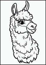 Llama's - Dieren3