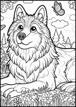 Lupi - Animali6