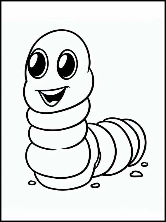 Regenwormen - Dieren 2