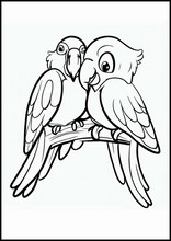 Parrots - Animals4