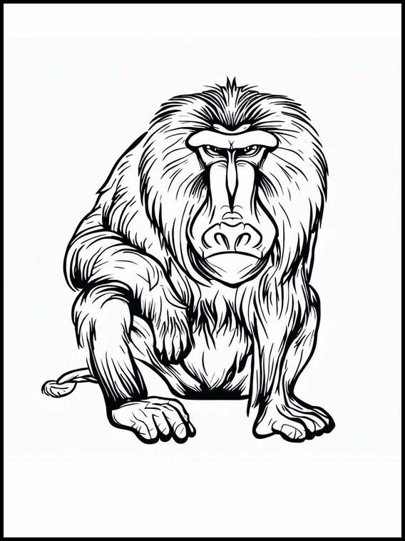 Fargeleggingsbok for Barn Mandrill - Dyr 4 Mandrill - Dyr 4