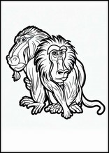 Mandrilli - Animali2