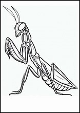 Mantis Religiosa - Animales1
