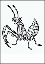 Mantis Religiosa - Animales2