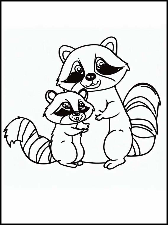 Raccoons - Animals 3