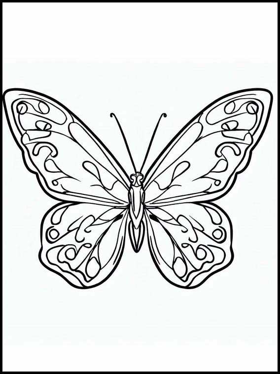 Butterflies - Animals 2