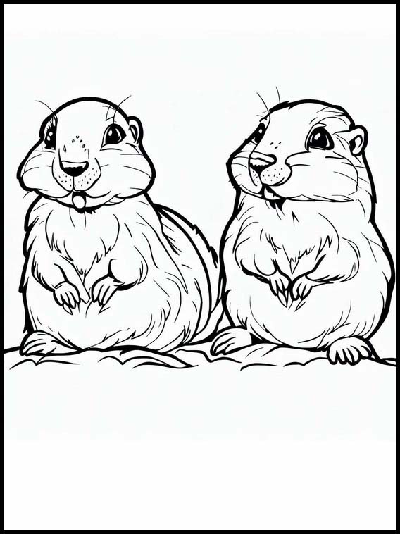 Marmots - Animals 5