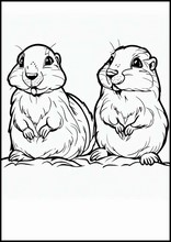Marmotte - Animali5