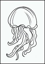 Медузы - Животные1