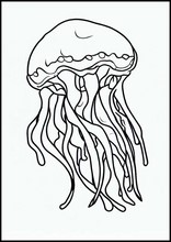 Медузы - Животные3