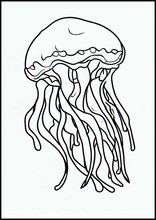 水母3