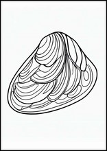 貽貝5