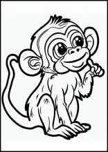 Scimmie - Animali1