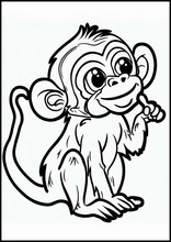 Scimmie - Animali1