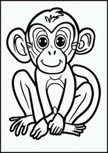 Macacos - Animais2
