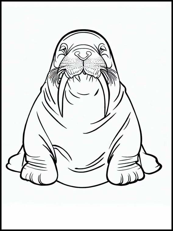 Walruses - Animals 2