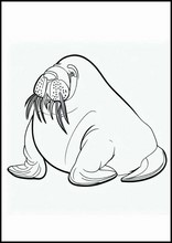 Walrussen - Dieren1