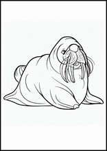 Walruses - Animals4