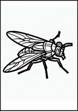 Flies - Animals1