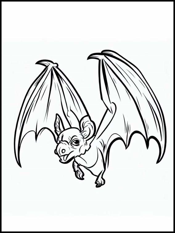 Morcegos - Animais 4