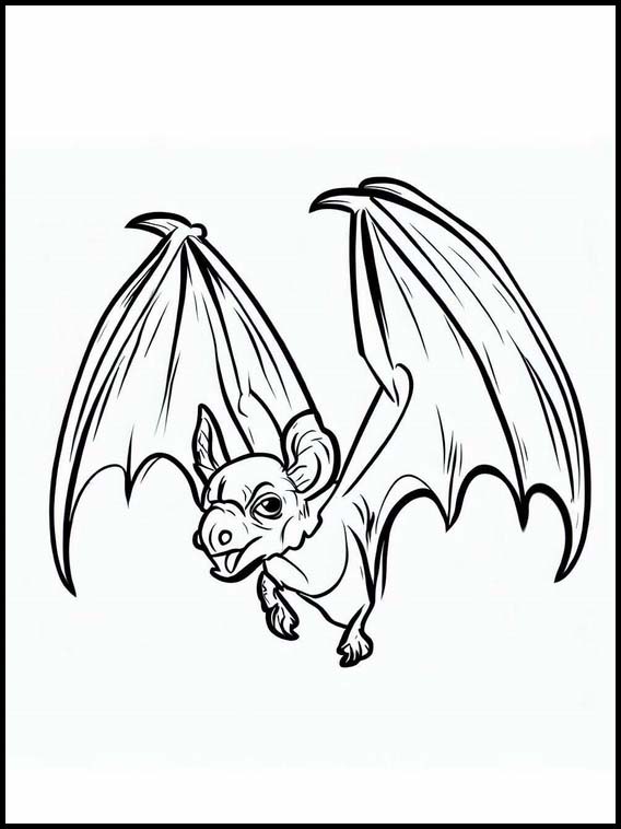 Chauve-souris - Animaux 4