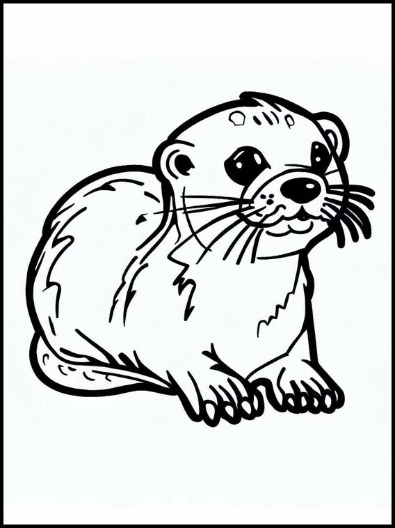 Otters - Animals 3