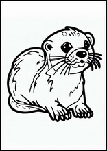 Otter - Tiere3