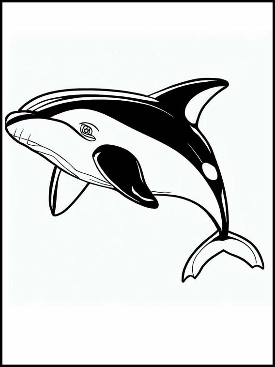 Orcas - Tiere 1