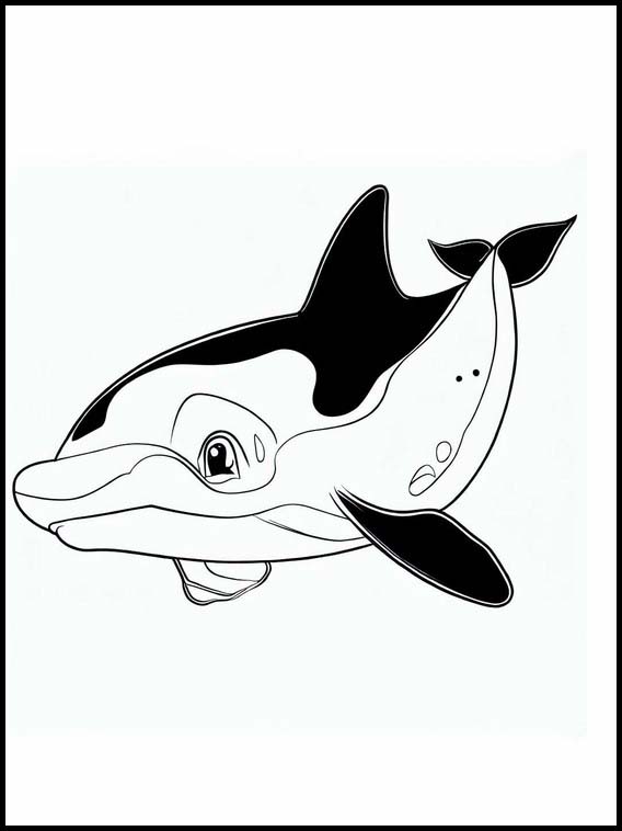 Orcas - Tiere 3