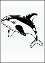 Orcas - Animals1