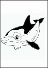 Orcas - Animais3