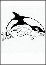 Orcas - Animals4