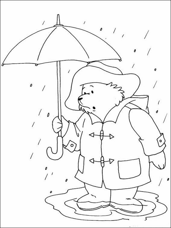 Paddington Bear 12