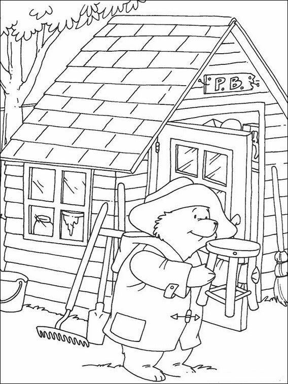 Oso Paddington 20