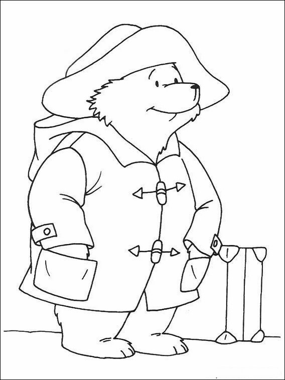 Orso Paddington 6