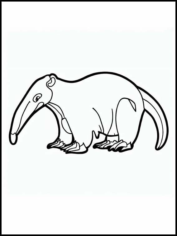 Anteaters - Animals 1