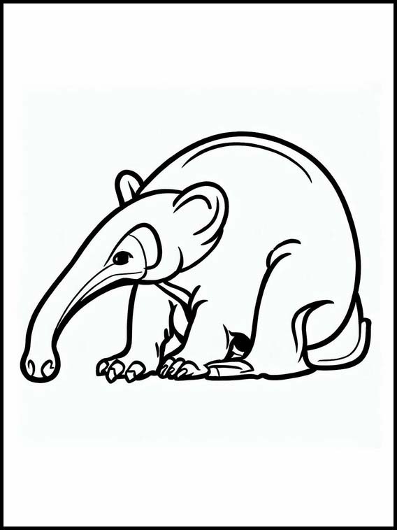 Anteaters - Animals 2