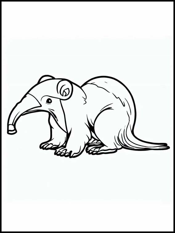 Anteaters - Animals 3