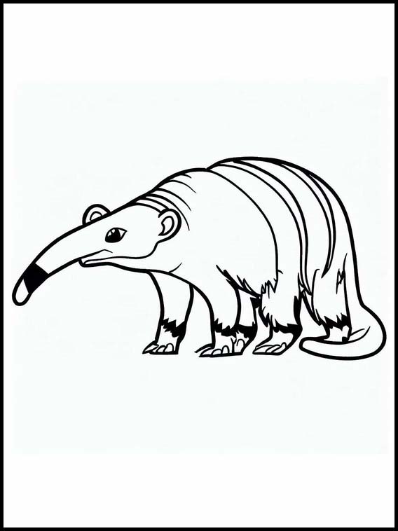 Anteaters - Animals 4