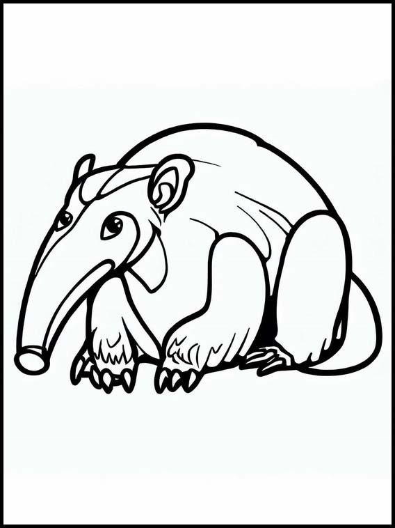 Anteaters - Animals 5