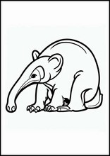 Anteaters - Animals2