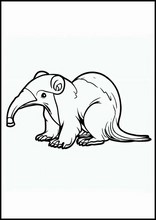Anteaters - Animals3