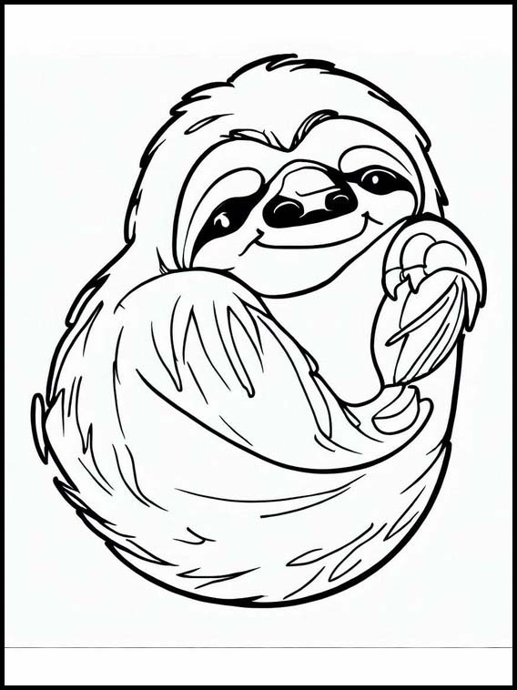 Sloths - Animals 1