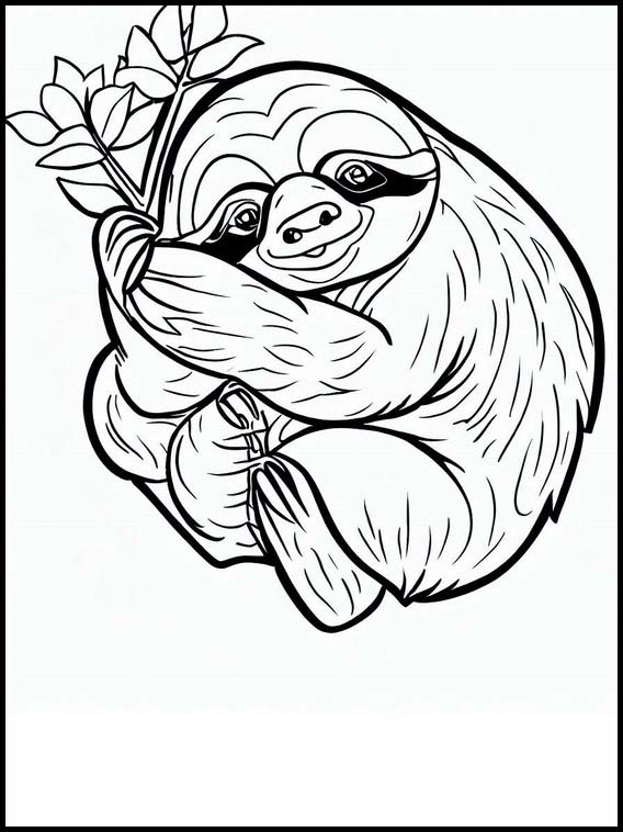 Sloths - Animals 3